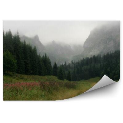 Fototapeta na stenu Hory Ihličnaté Stromy Tráva Kvety Cesta Ranná Hmla