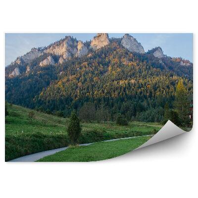 Fototapeta Trasa v pieninách troch korún