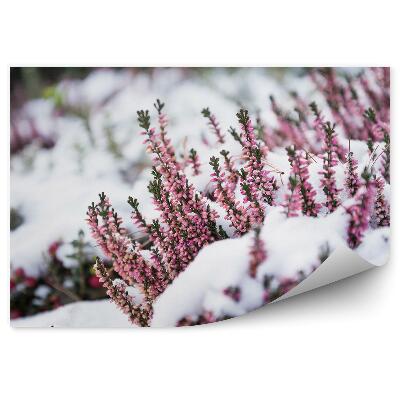 Fototapeta Vres Na Snehu