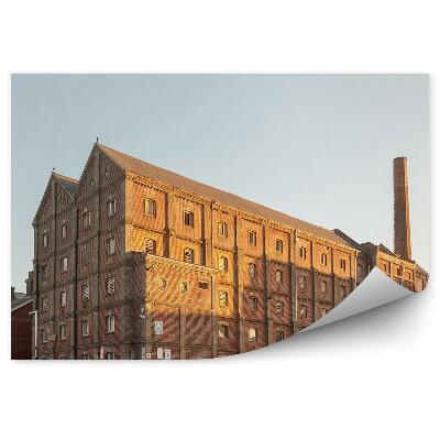 Fototapeta na stenu Dimnik starega tovarniškega poslopja