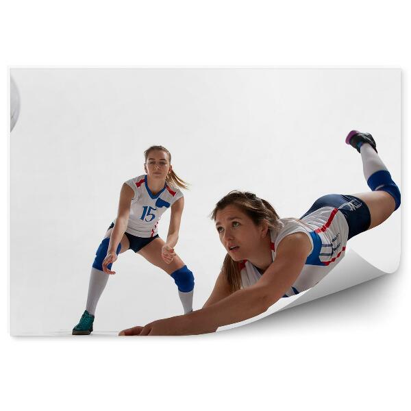 Fototapeta na stenu Žoga za odbojkarje