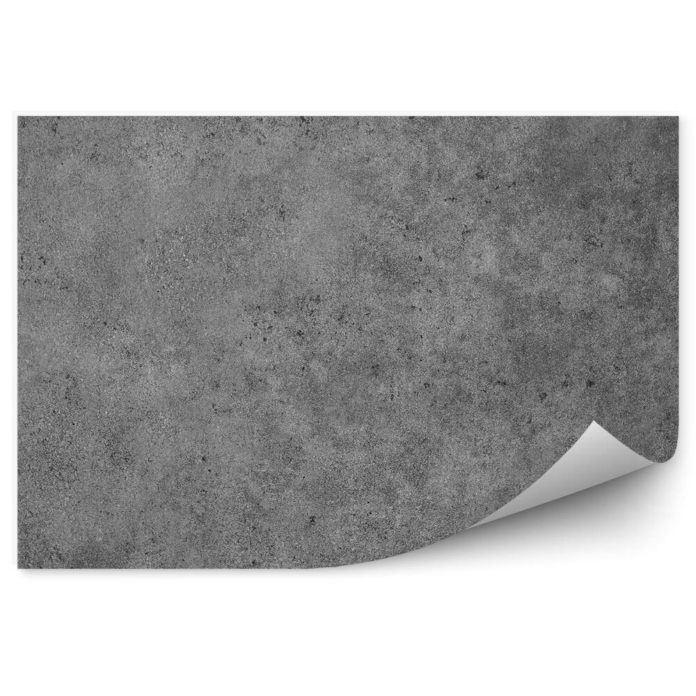 Fototapeta na stenu Leštený sivý betón