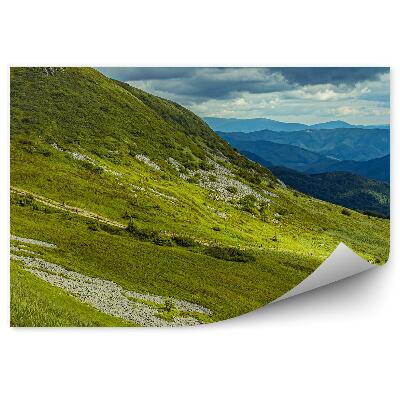 Fototapeta na stenu Zelené hory bieszczady zamračená obloha