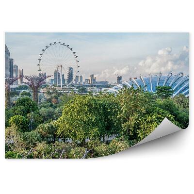 Fototapeta Park Architektúra Singapur Mesto