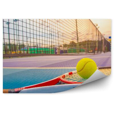 Fototapeta na stenu Teniško igrišče za odbojko z loparjem