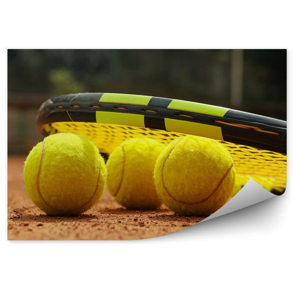 Fototapeta na stenu Igrišče za tenis z loparjem