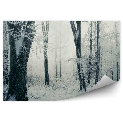 Fototapeta Zimný les