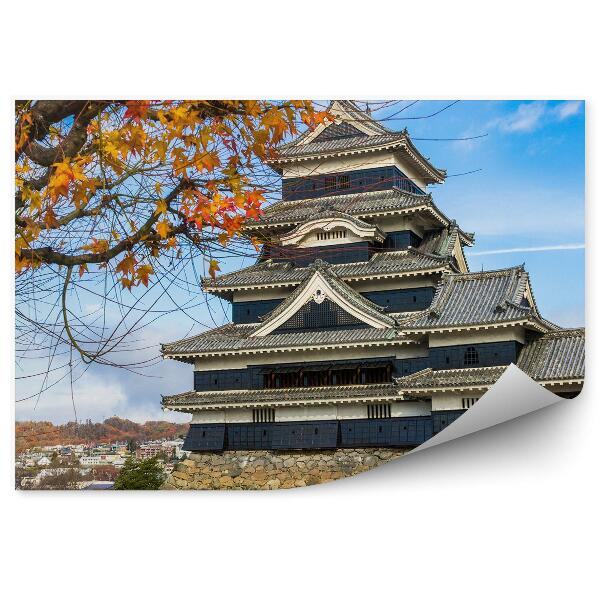 Fototapeta na stenu Jesenné farebné lístie japonsko zámok voda