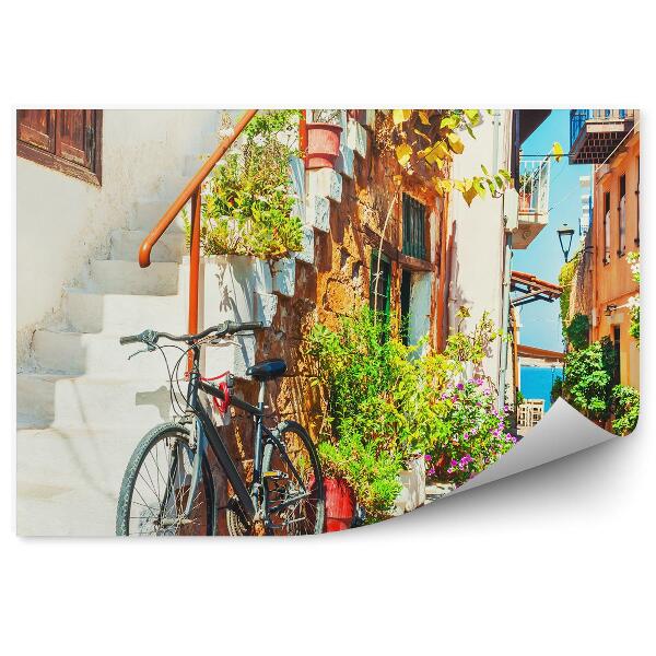 Fototapeta Ulička Bicyklov Schody Budovy Farby Rastliny