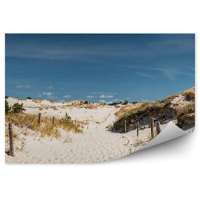 Fototapeta na stenu Cesta piesok stĺpy tráva