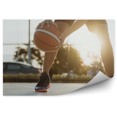 Fototapeta na stenu Avto košarka travnato igrišče košarkarsko igrišče žoga