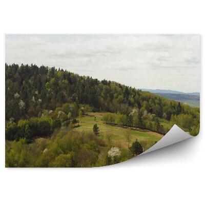 Fototapeta na stenu Les stromy kopec pole krajina bieszczady