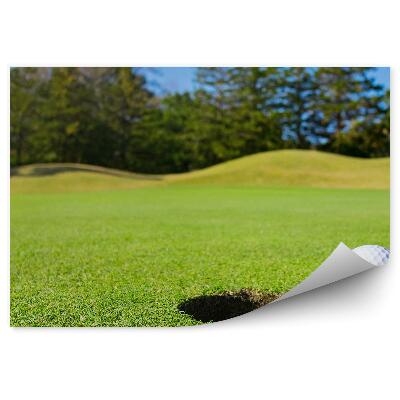 Fototapeta Luknja žogica za golf nebo iglasta drevesa