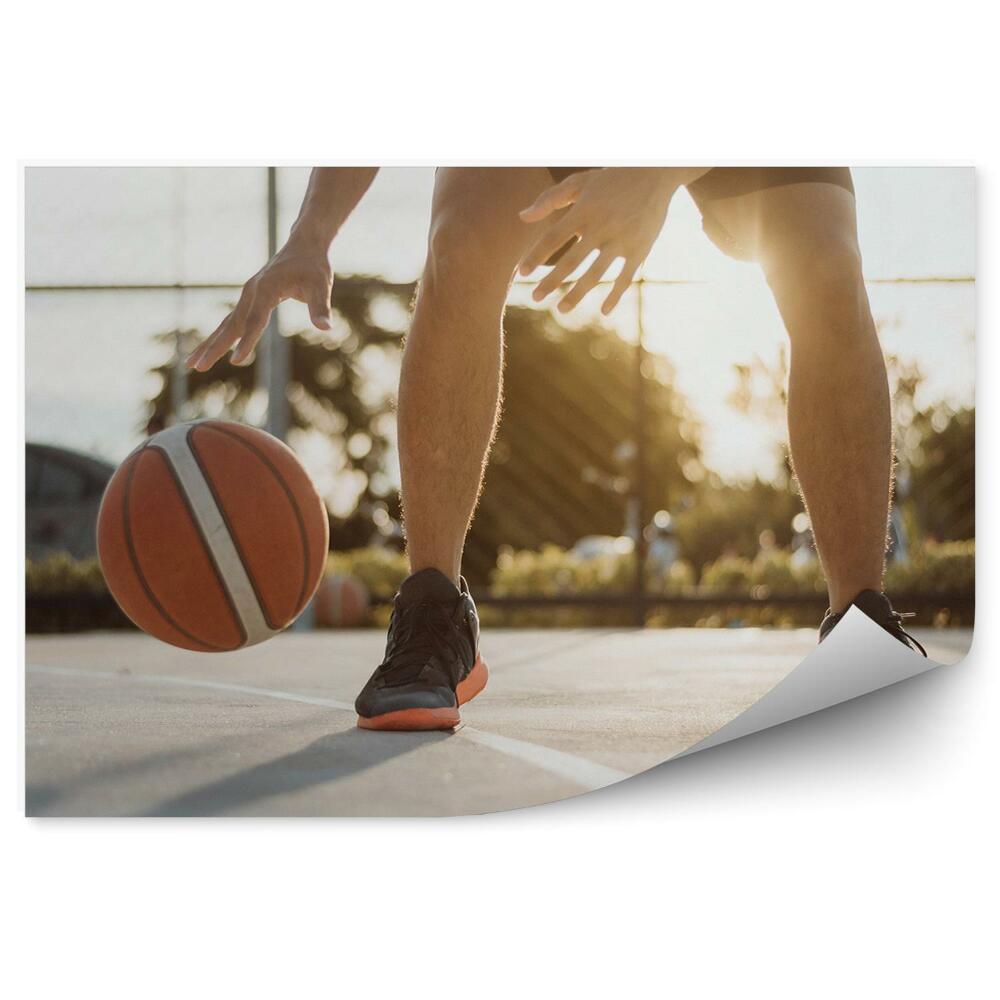 Fototapeta Avtomobilsko košarkarsko igrišče trava