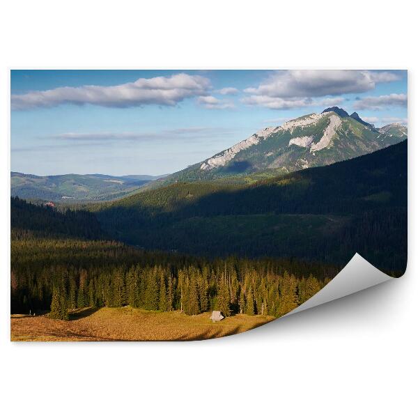 Fototapeta na stenu Rusinowa poľana horský tieň stromy nebo mraky tatra hory