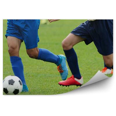 Fototapeta Nogometna žoga