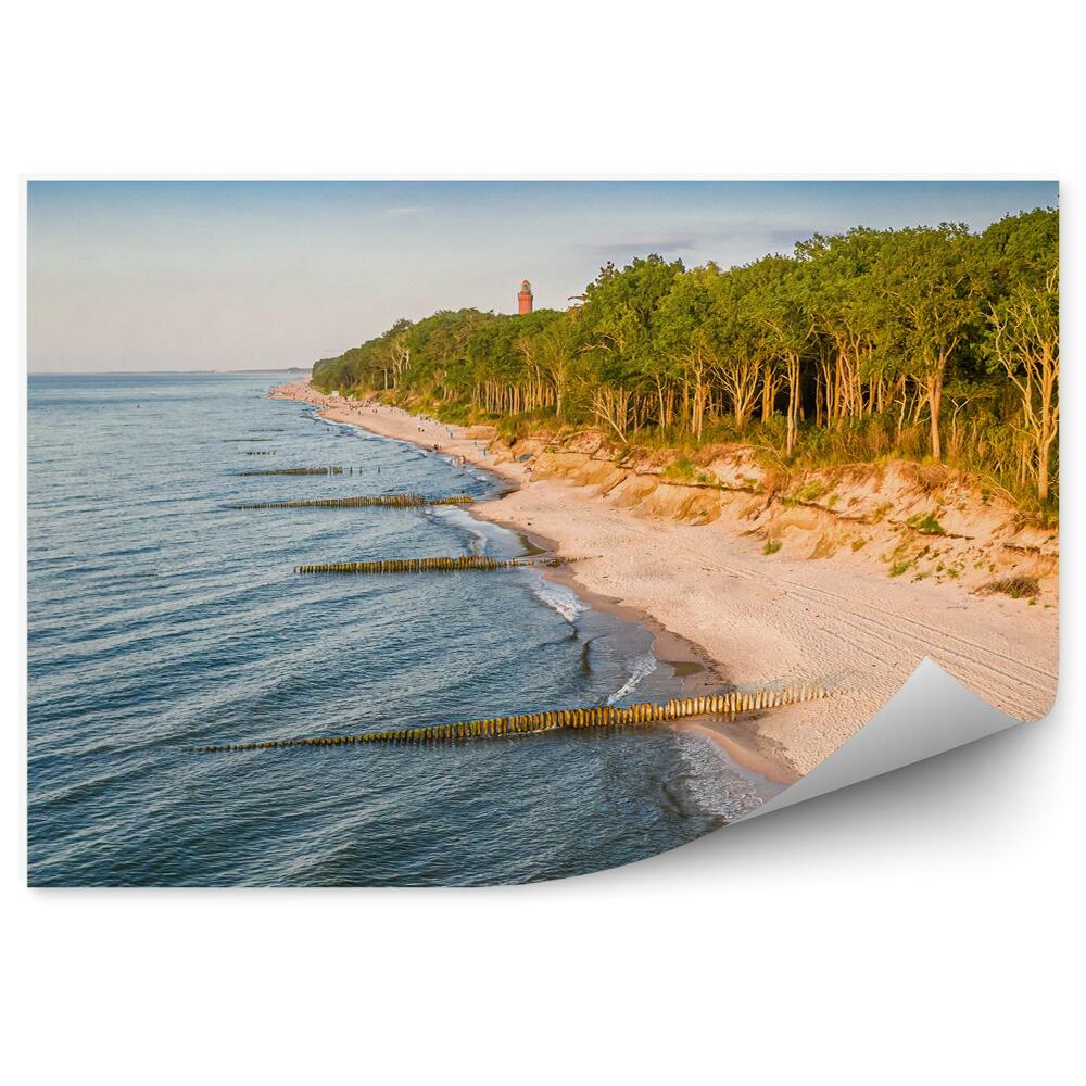 Fototapeta na stenu Piesok les stromy more horizont