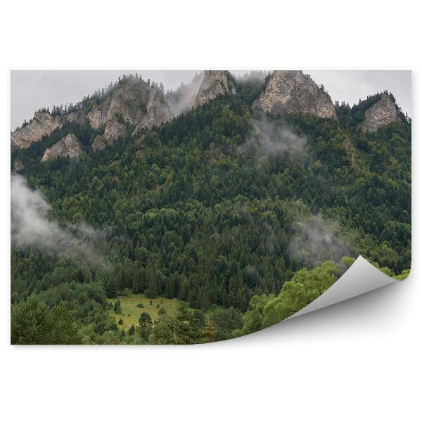 Fototapeta Tri koruny v hmle vrchol pienin