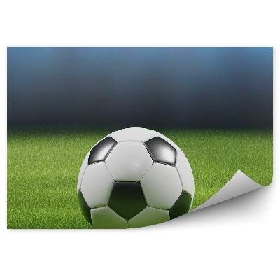 Fototapeta na stenu Nogometna trava luči