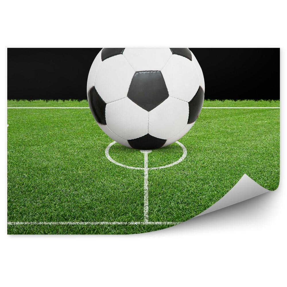 Fototapeta Nogometni gol nogometna trava