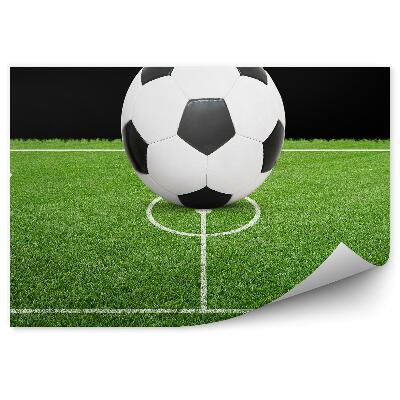 Fototapeta Nogometni gol nogometna trava