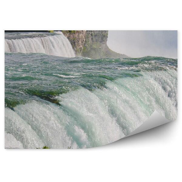 Fototapeta Niagarské vodopády stromy rastliny skaly