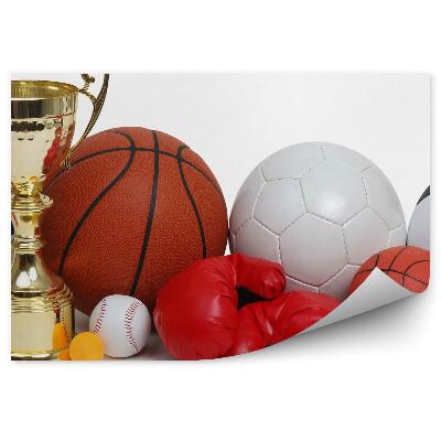 Fototapeta na stenu Žoge športne rokavice pikado skodelica