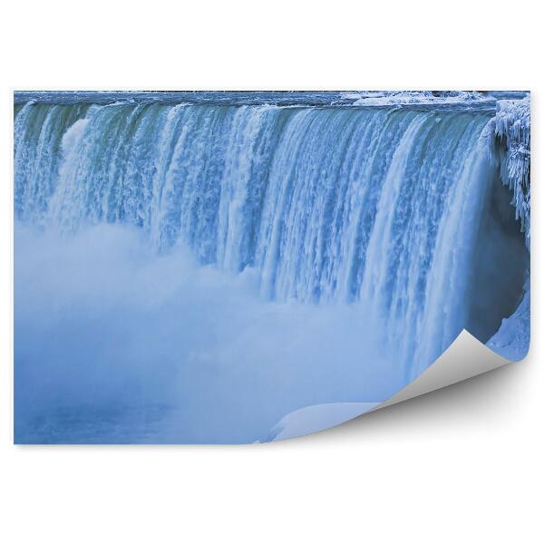 Fototapeta na stenu Niagarské vodopády stromy domy sneh zima ľad