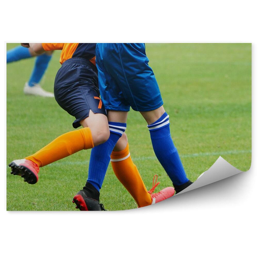 Fototapeta Nogometna trava nogomet