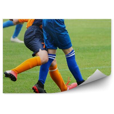 Fototapeta Nogometna trava nogomet