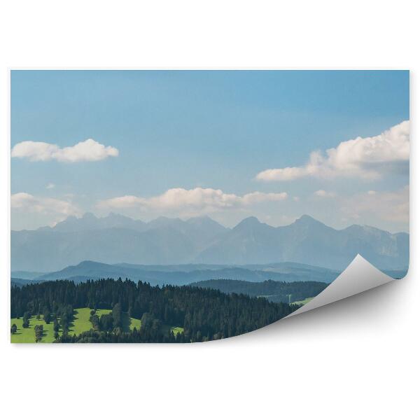 Fototapeta Pohľad na Tatry z pieninskej panorámy