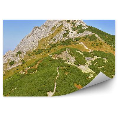 Fototapeta na stenu Ľudia stúpajúci na vrchol hory cesta