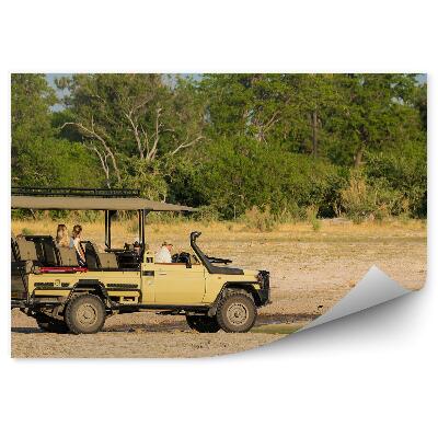 Fototapeta Levy pri napájadle v terénnom aute na safari