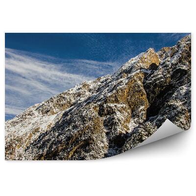 Fototapeta na stenu Zasnežené stromy vianočný stromček vrchol hory