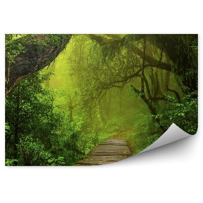 Fototapeta na stenu Ázijská tropická džungľa dreviny kríky