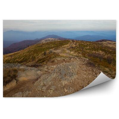 Fototapeta na stenu Hory cesta skaly vegetácia jeseň