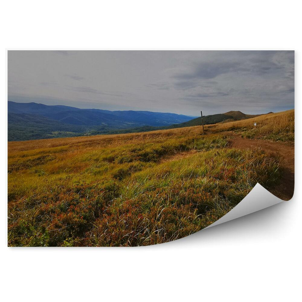 Fototapeta na stenu Chodník pobitá cesta hory výhľady