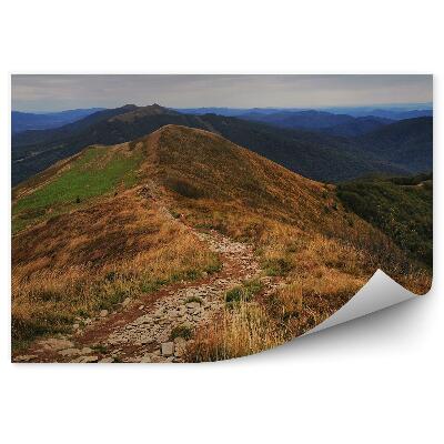 Fototapeta na stenu Bieszczady horský chodník les stromy