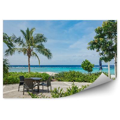 Fototapeta Horizont línia more palmy terasa