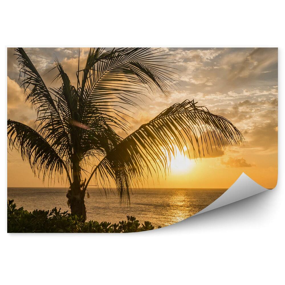 Fototapeta na stenu Západ slnka nad horizontom vodné rastliny