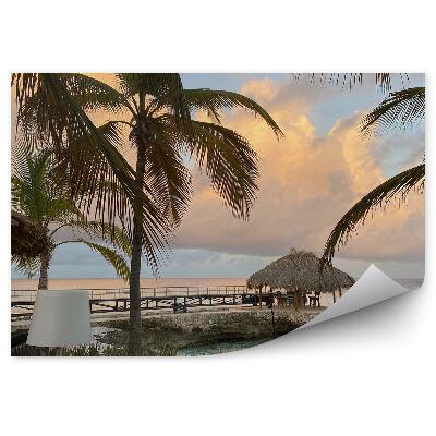 Fototapeta na stenu Zamračená obloha palmy príroda kaviareň pri mori