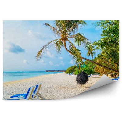 Fototapeta Pláž ležadlá letné palmy modrá voda