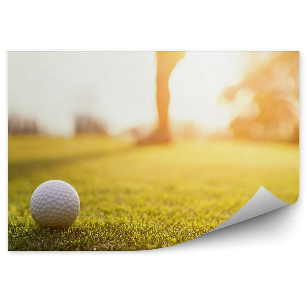 Fototapeta na stenu Žogica za golf luknja sončni zahod
