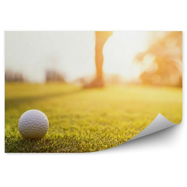 Fototapeta na stenu Žogica za golf luknja sončni zahod
