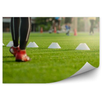 Fototapeta Akcija na nogometnem igrišču