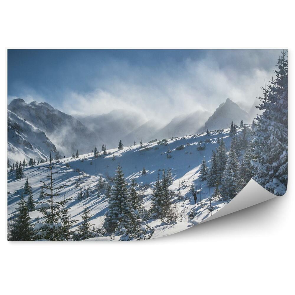 Fototapeta Hala gąsienicowa tatra hory sneh stromy ihličnaté slnko