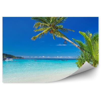 Fototapeta Palmy príroda modrá voda loď