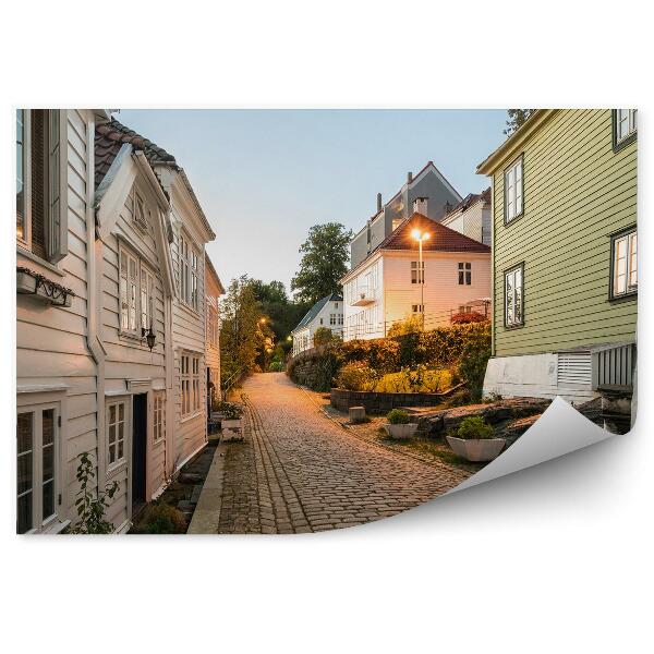 Fototapeta Pouličné Osvetlenie Mesto Domy Bergen Nórsko