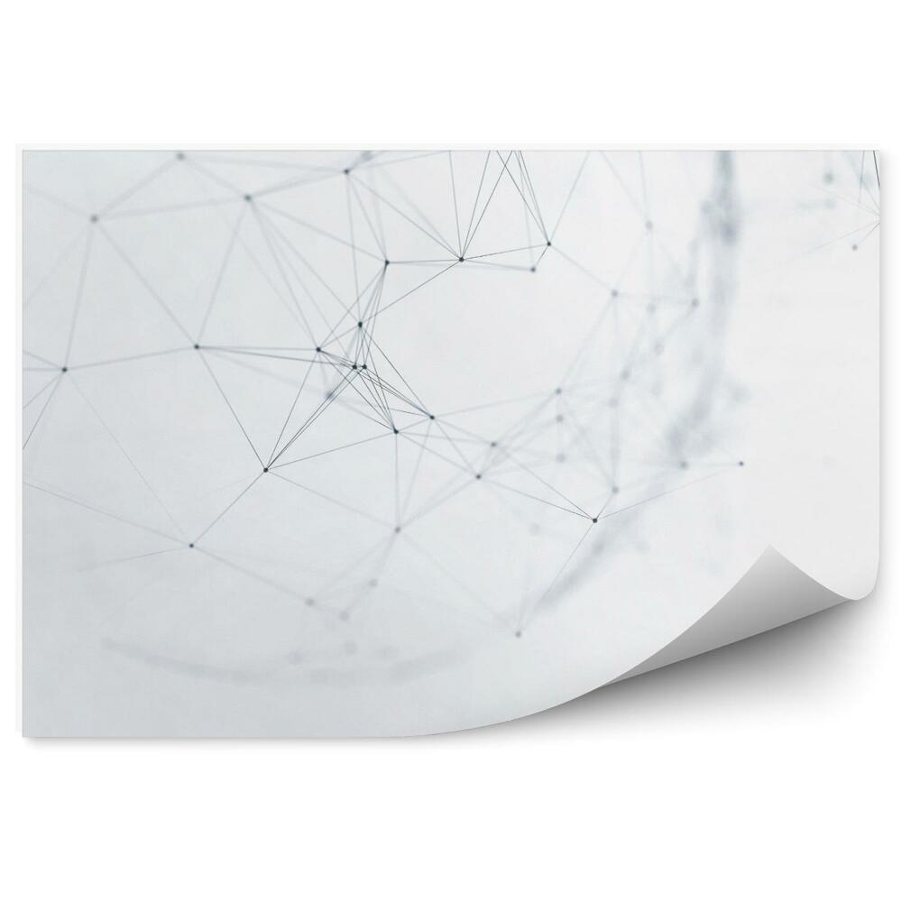 Fototapeta na stenu Abstraktná futuristická sieť