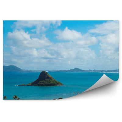 Fototapeta na stenu Pláž Havaj Zelené Rastliny Modrá Voda